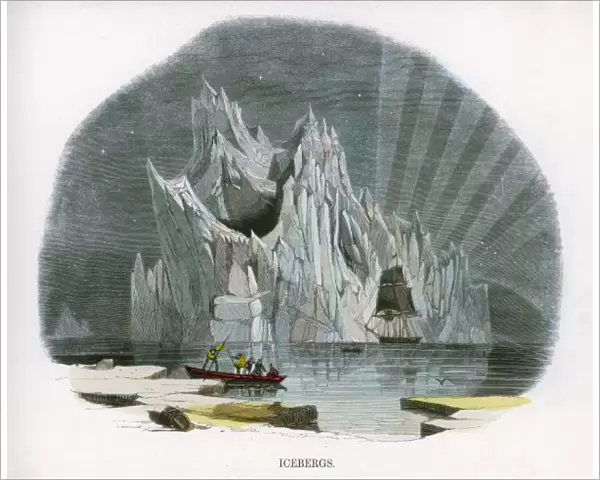 Iceberg  /  Whimper C1860