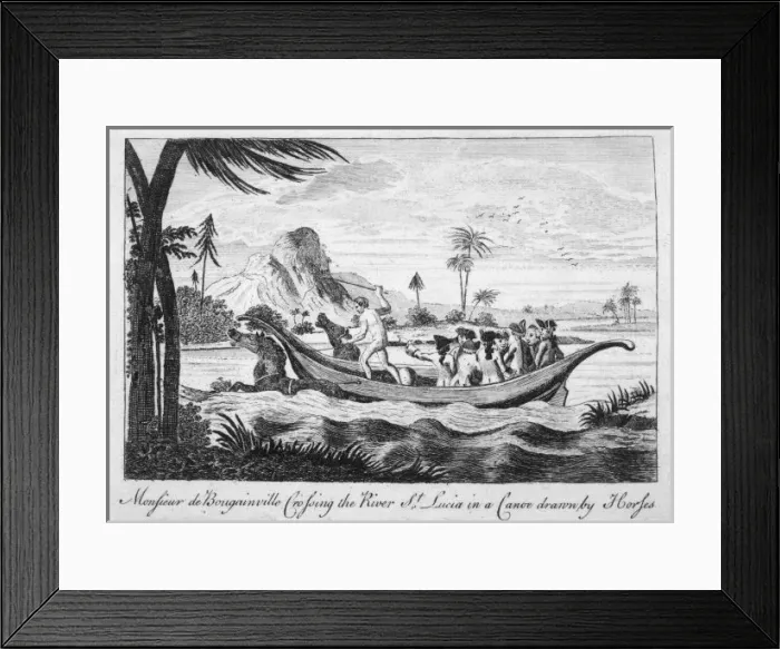 Framed Print : Bougainville on River Framed Print : Bougainville on River