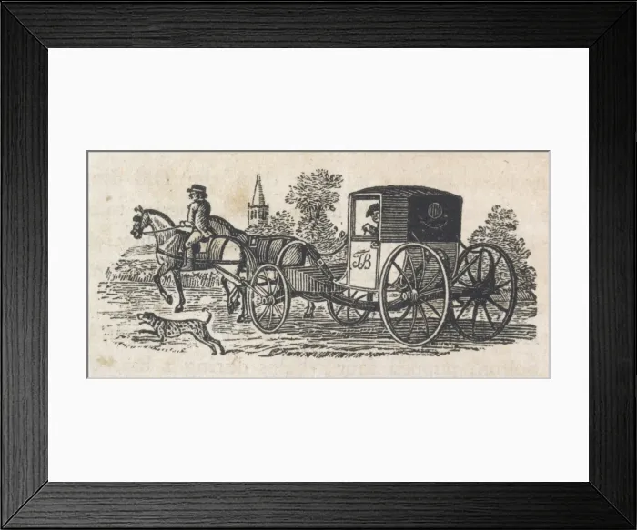 Framed Print : Dalmatian Protects Coach Framed Print : Dalmatian Protects Coach