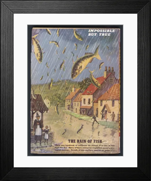 Framed Print : Fish Fall from Sky Framed Print : Fish Fall from Sky