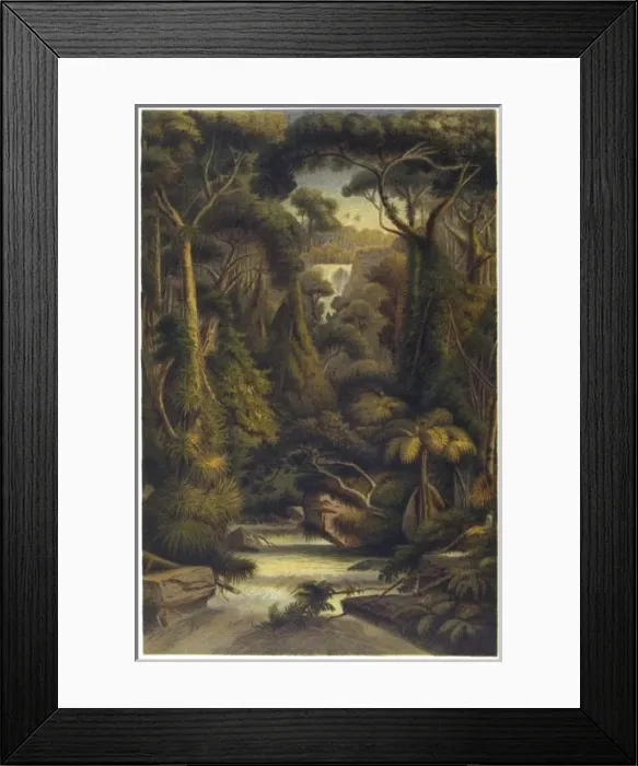 Framed Print : Sri Lanka Jungle Framed Print : Sri Lanka Jungle