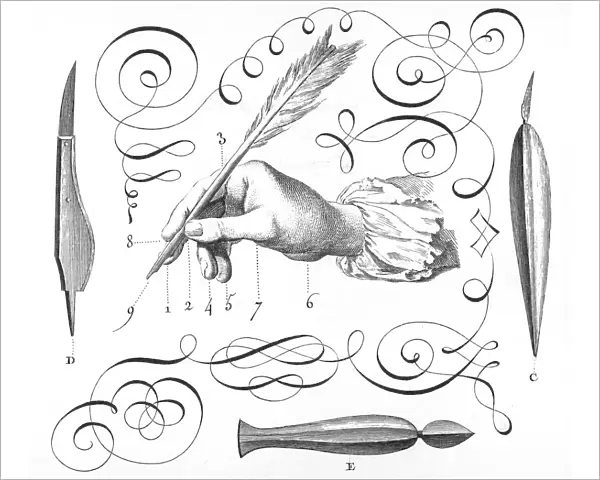 Quill Pen  /  Diderot