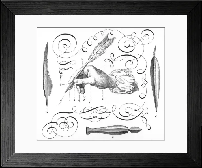 Framed Print : Quill Pen / Diderot Framed Print : Quill Pen / Diderot