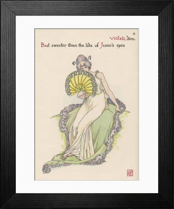 Framed Print : Plants / Erythronium Sp Framed Print : Plants / Erythronium Sp