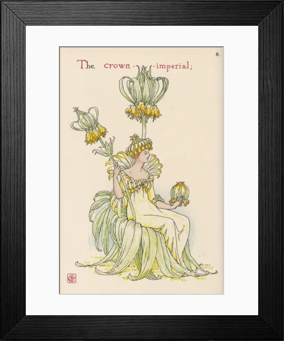 Framed Print : Fritillaria Imperialis Framed Print : Fritillaria Imperialis