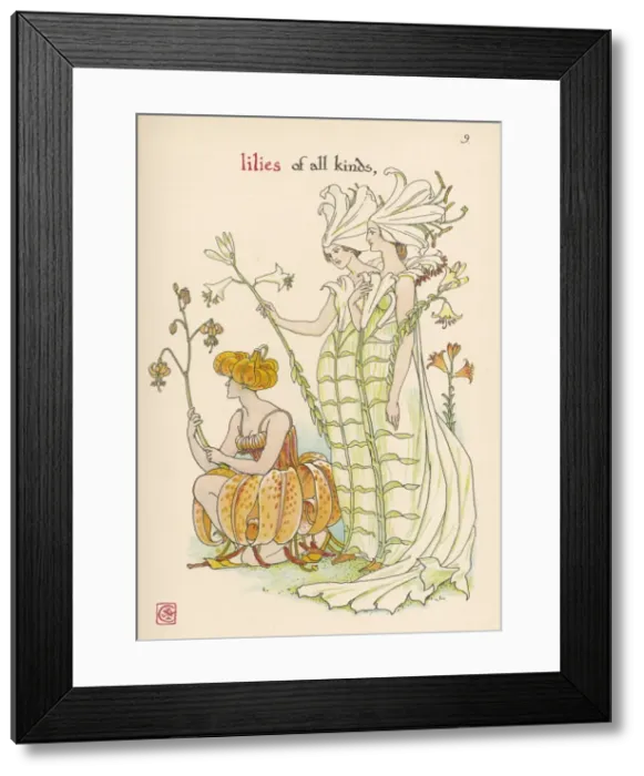 Framed Print : Plants / Lilium Sp Framed Print : Plants / Lilium Sp