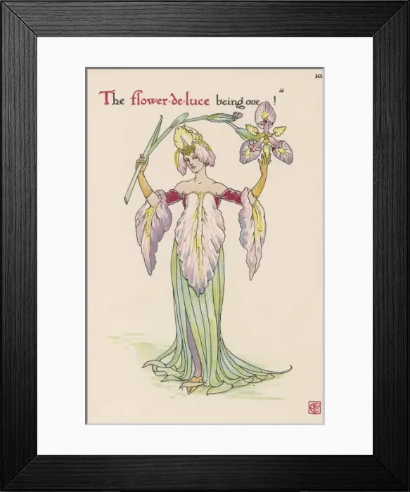 Framed Print : Plants / Iris Germanica Framed Print : Plants / Iris Germanica