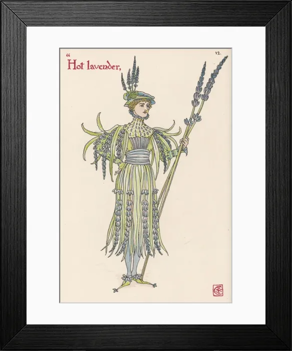 Framed Print : Plants / Lavandula Framed Print : Plants / Lavandula