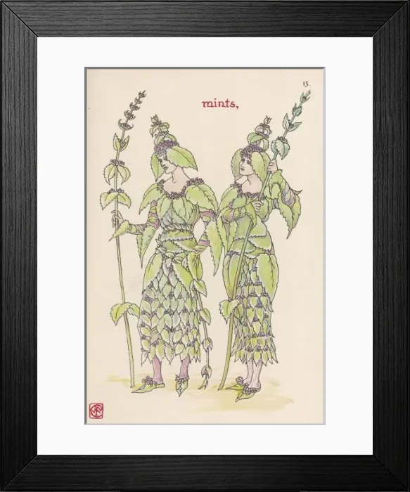 Framed Print : Plants / Mentha Framed Print : Plants / Mentha
