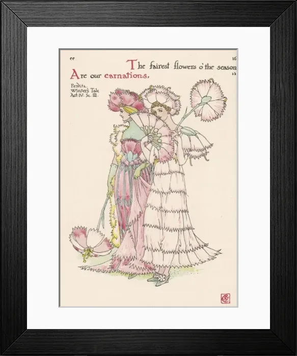 Framed Print : Plants  /  Dianthus