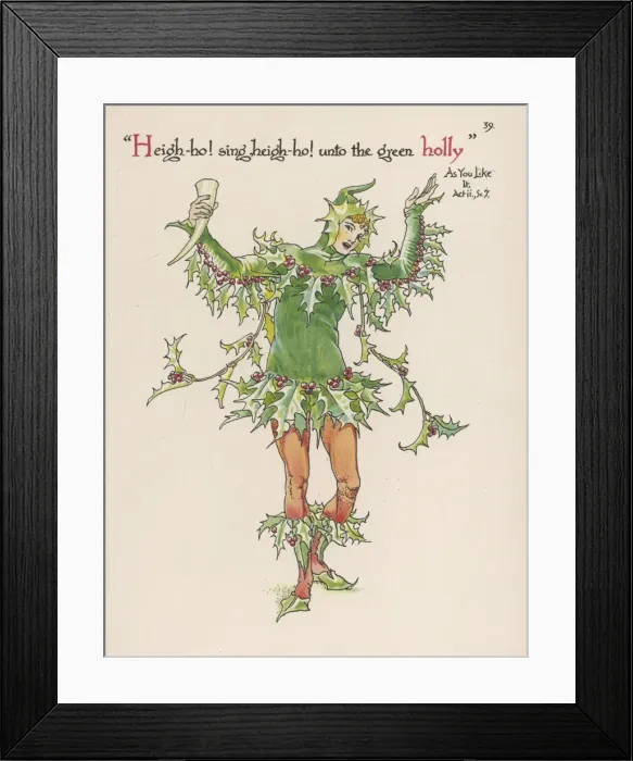 Framed Print : Plants / Ilex Aquifolium Framed Print : Plants / Ilex Aquifolium
