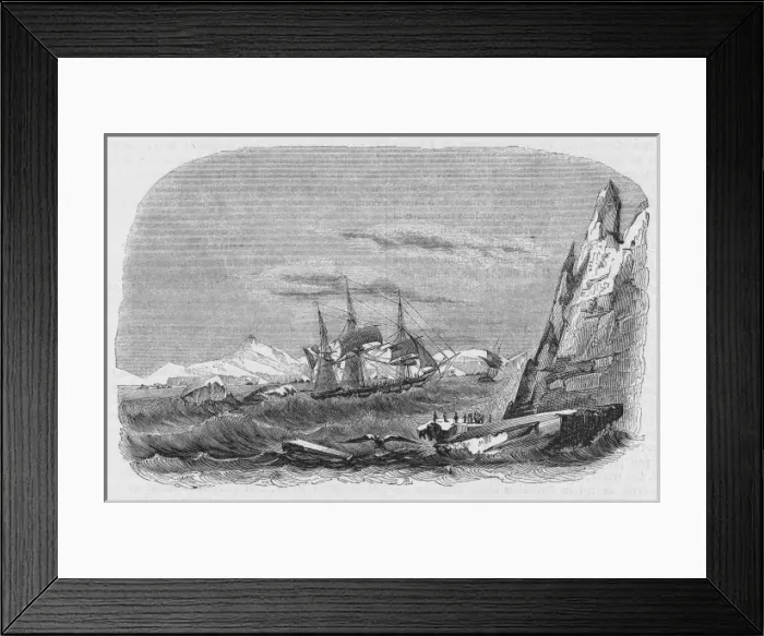 Framed Print : Exploration / D urville Framed Print : Exploration / D urville