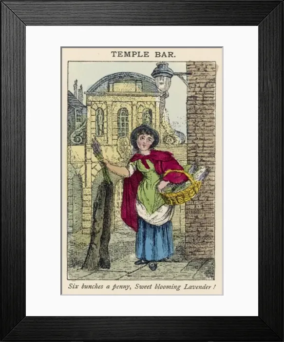 Framed Print : Lavender Seller / St Cries Framed Print : Lavender Seller / St Cries
