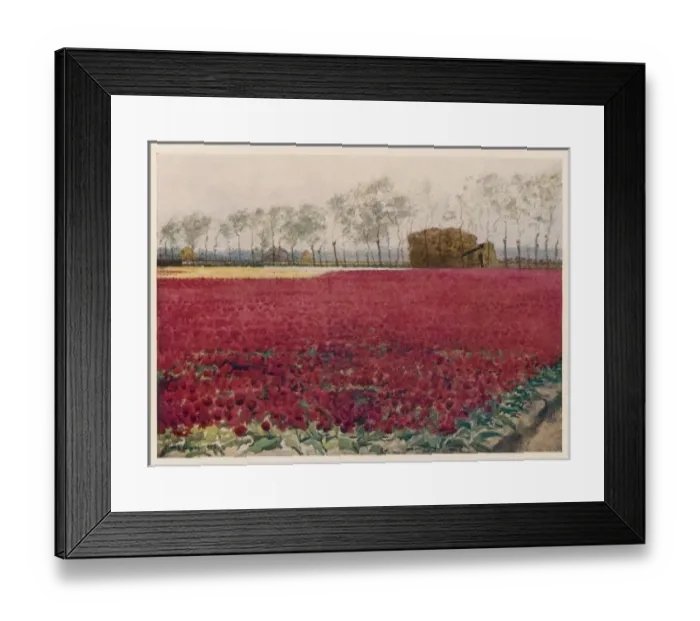 Framed Print : Red Tulip Field Framed Print : Red Tulip Field