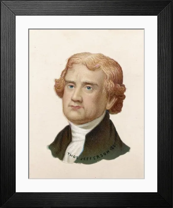 Framed Print : Thomas Jefferson / Scrap Framed Print : Thomas Jefferson / Scrap