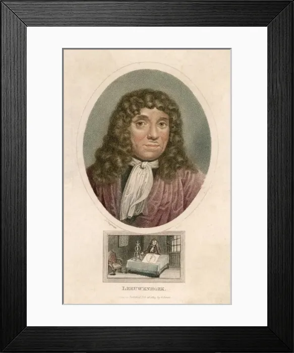 Framed Print : Anton Van Leeuwenhoek Framed Print : Anton Van Leeuwenhoek