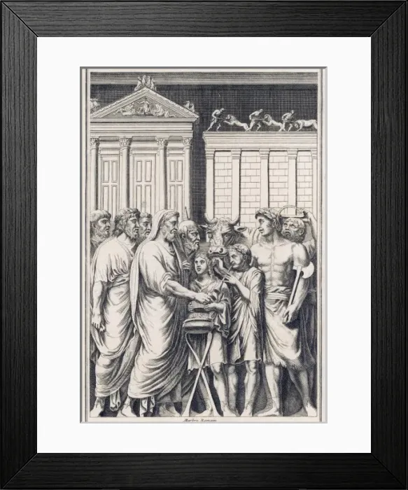 Framed Print : Roman Sacrifice Bull Framed Print : Roman Sacrifice Bull