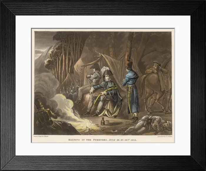 Framed Print : Wellington & Pyrenees Framed Print : Wellington & Pyrenees
