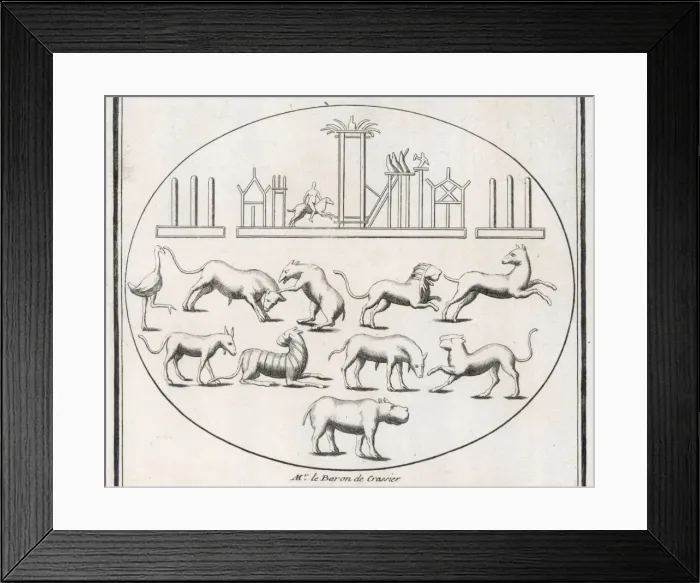Framed Print : Beasts in Roman Arena Framed Print : Beasts in Roman Arena