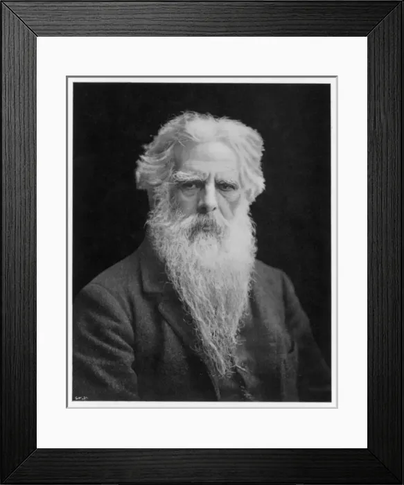 Framed Print : Muybridge / Animals / Motion Framed Print : Muybridge / Animals / Motion