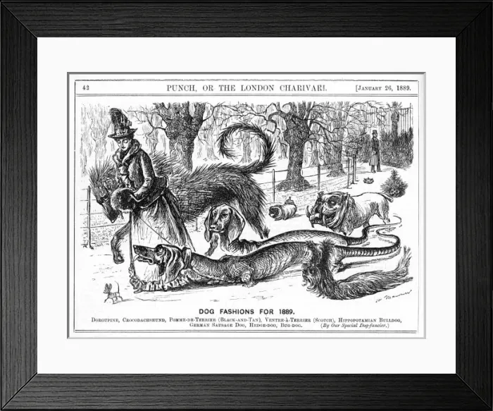 Framed Print : Exaggerated Dogs Cartoon Framed Print : Exaggerated Dogs Cartoon