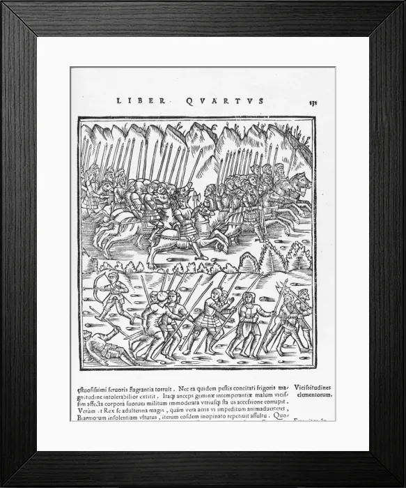 Framed Print : Scandinavian Troops Framed Print : Scandinavian Troops