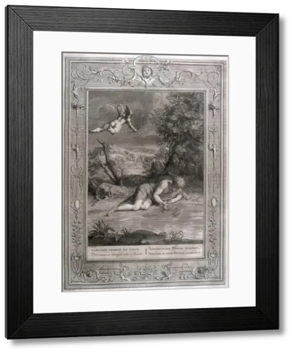 Framed Print : NARCISSUS. Narcissus falls in love with his own reflection Framed Print : NARCISSUS. Narcissus falls in love with his own reflection