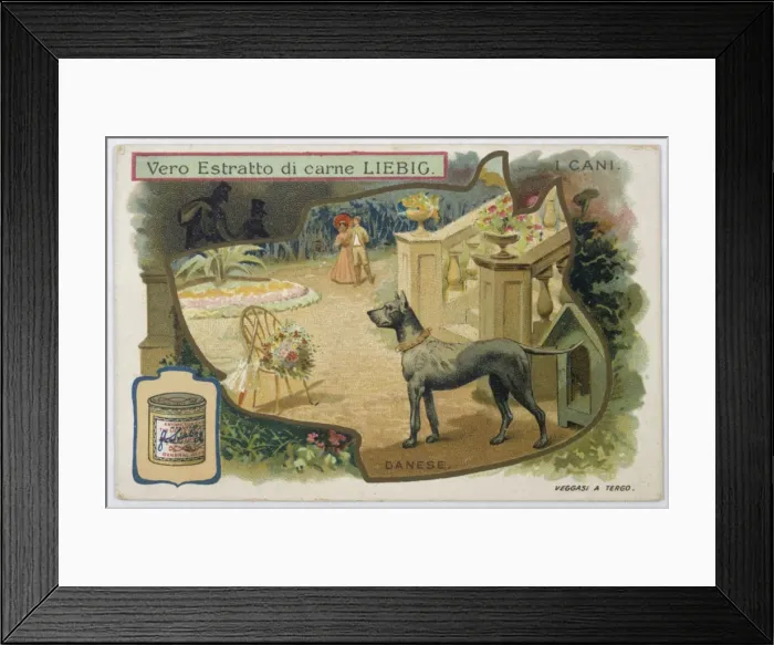 Framed Print : Guarding a Garden Framed Print : Guarding a Garden
