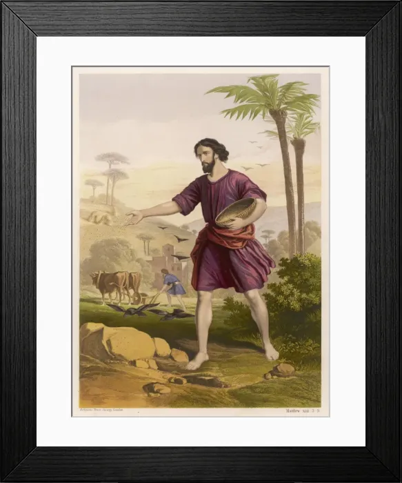 Framed Print : THE SOWER. a Sower Went Forth to Sow... and some Fell Upon Stony Ground Framed Print : THE SOWER. a Sower Went Forth to Sow... and some Fell Upon Stony Ground