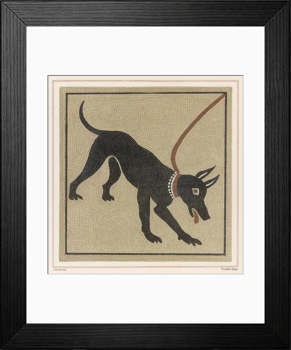 Framed Print : Art / Mosaic / Roman Dog Framed Print : Art / Mosaic / Roman Dog
