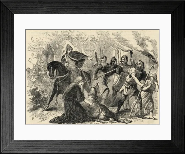 Framed Print : William I in Hampshire Framed Print : William I in Hampshire