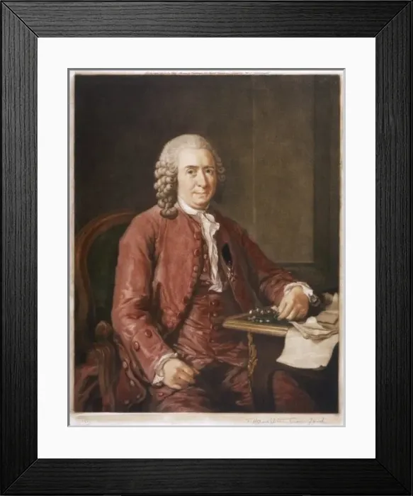 Framed Print : Linnaeus / Botanist / Roslin Framed Print : Linnaeus / Botanist / Roslin