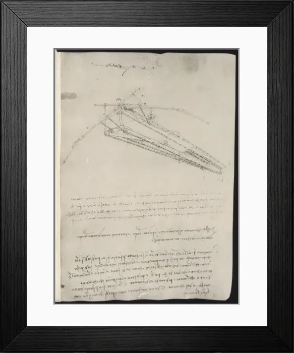 Framed Print : Leonardo Flying Machine Framed Print : Leonardo Flying Machine