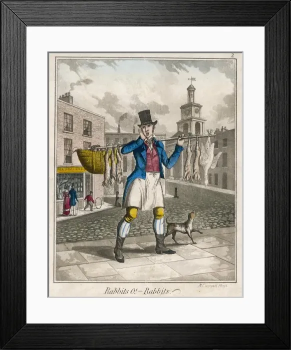 Framed Print : Rabbits & Goose for Sale Framed Print : Rabbits & Goose for Sale