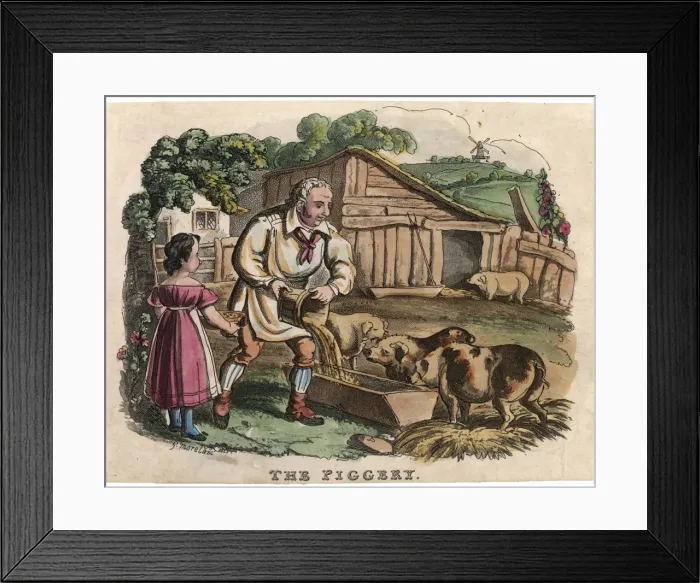Framed Print : Pigs at Feeding Time Framed Print : Pigs at Feeding Time