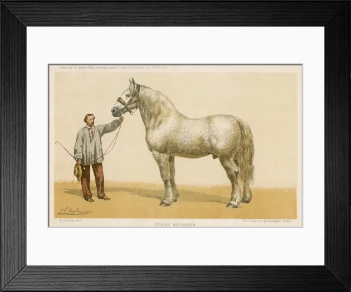 Framed Print : Etalon Mulassier Framed Print : Etalon Mulassier