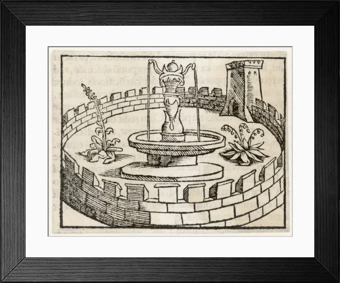 Framed Print : Islamic Paradise Framed Print : Islamic Paradise
