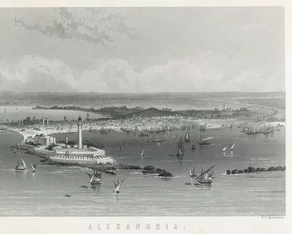 Egypt  /  Alexandria