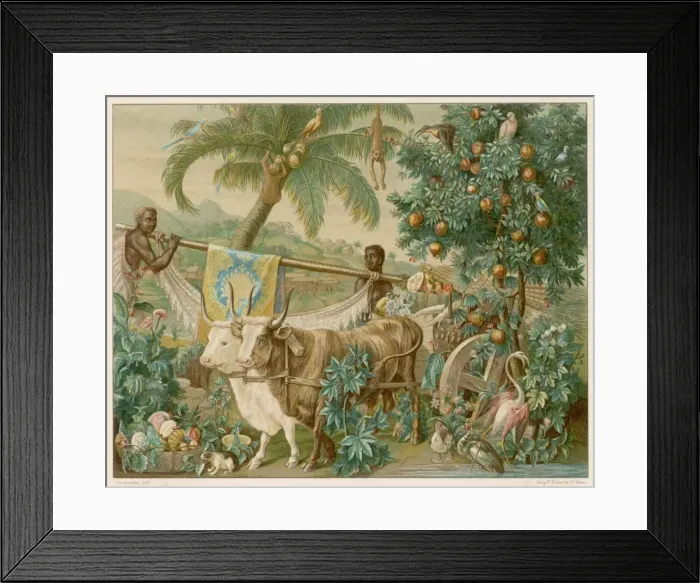 Framed Print : Fantasy - the Indies Framed Print : Fantasy - the Indies