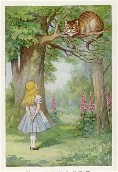 Cheshire Cat  /  Tree