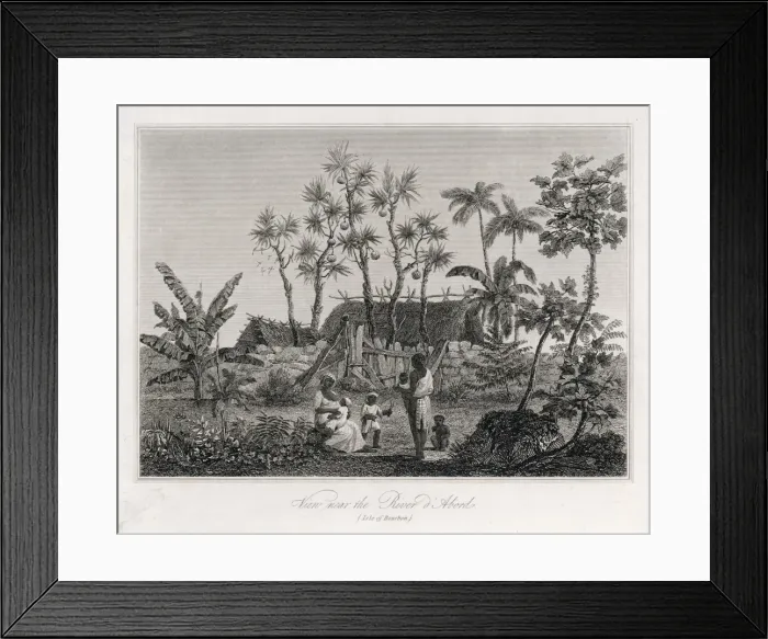 Framed Print : Reunion / Native Home Framed Print : Reunion / Native Home