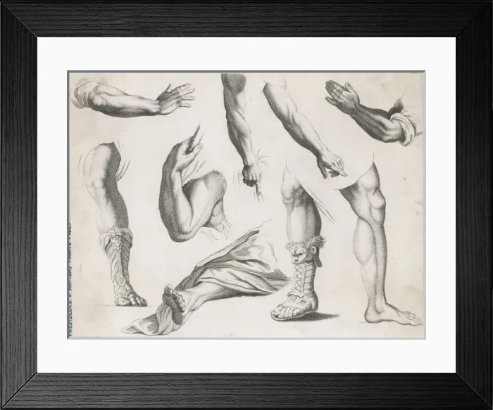 Framed Print : Hands & Feet / Albion Pres Framed Print : Hands & Feet / Albion Pres
