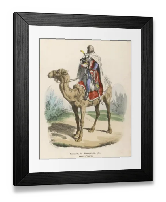 Framed Print : French Dromedary Cavalry Framed Print : French Dromedary Cavalry