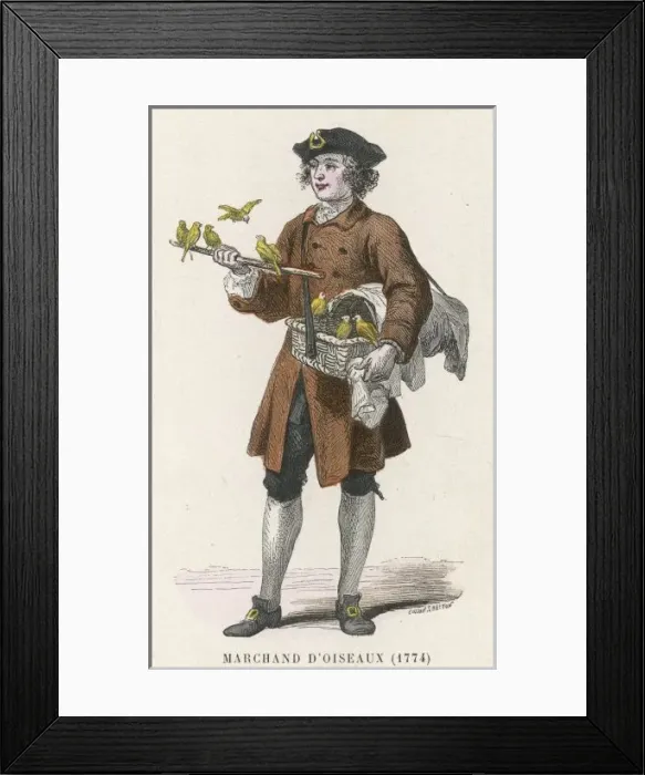 Framed Print : Bird Seller 1774 Framed Print : Bird Seller 1774