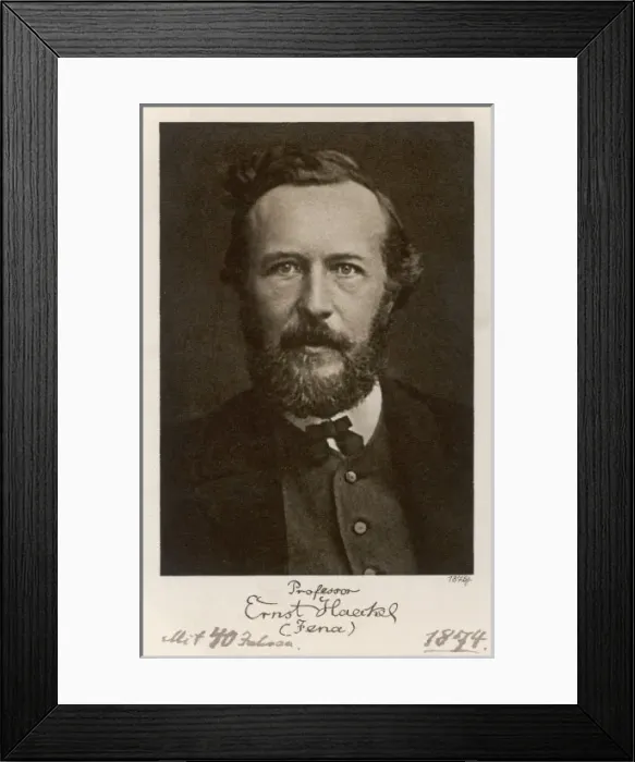 Framed Print : Ernst Haeckel Age 40 Framed Print : Ernst Haeckel Age 40