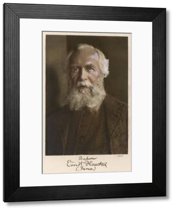 Framed Print : Ernst Haeckel Age 75 Framed Print : Ernst Haeckel Age 75