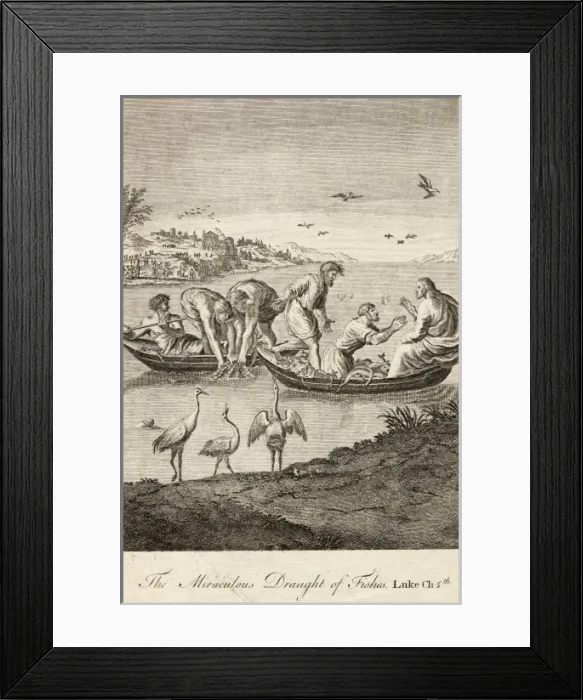 Framed Print : Draught of Fishes Framed Print : Draught of Fishes