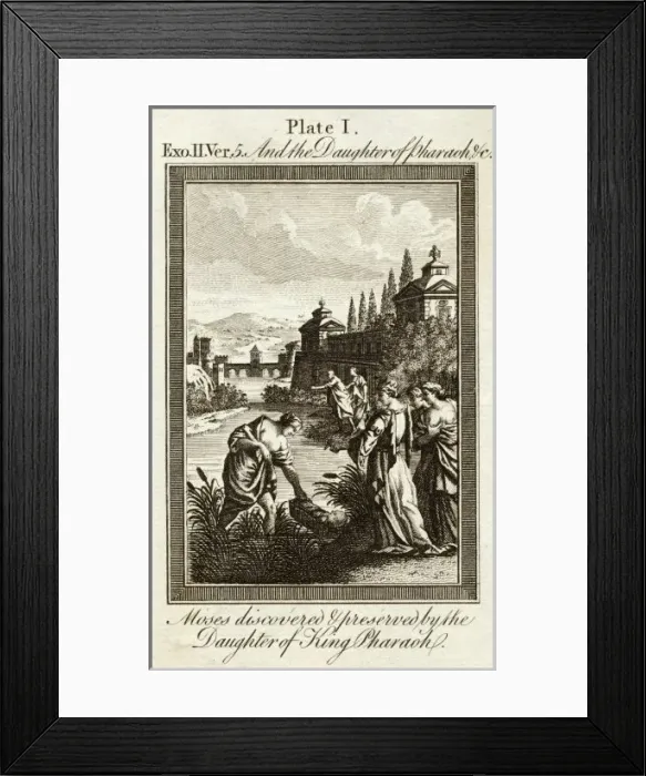 Framed Print : Infant Moses Found Framed Print : Infant Moses Found