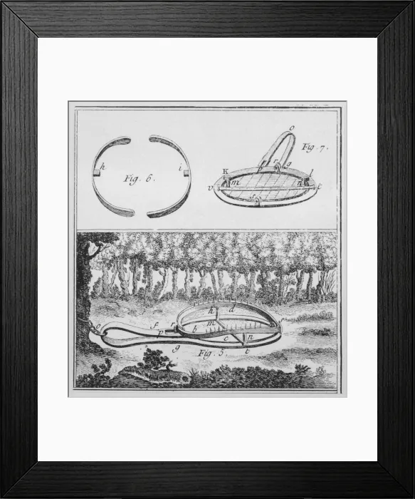 Framed Print : Hunting / Traps Framed Print : Hunting / Traps