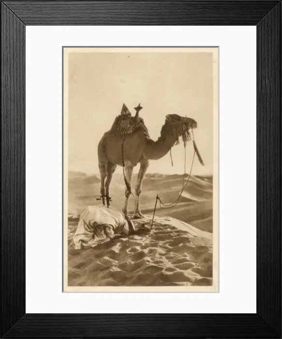 Framed Print : Prayer in the Desert Framed Print : Prayer in the Desert